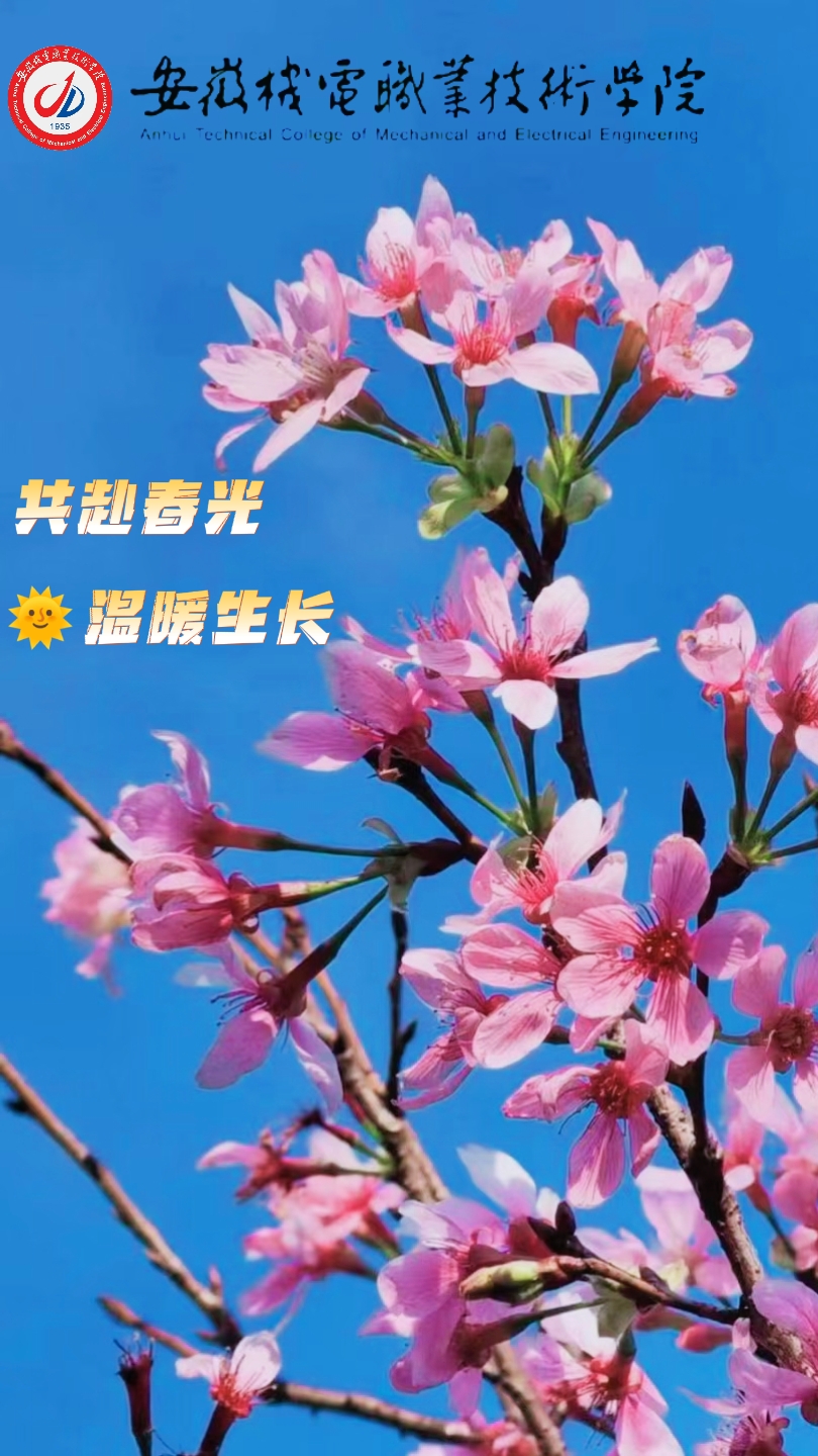 图4.jpg