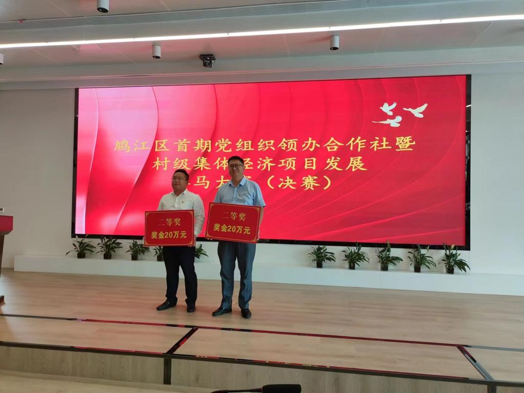 赛马大赛全区第二名.jpg