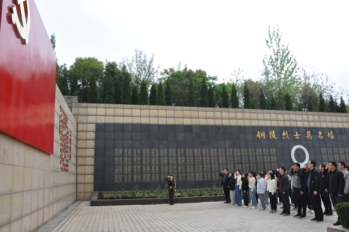 99dc10.jpg